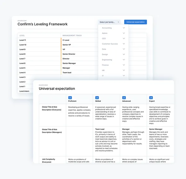 Job leveling framework showing career path progression with clear expectations and competencies for each role level