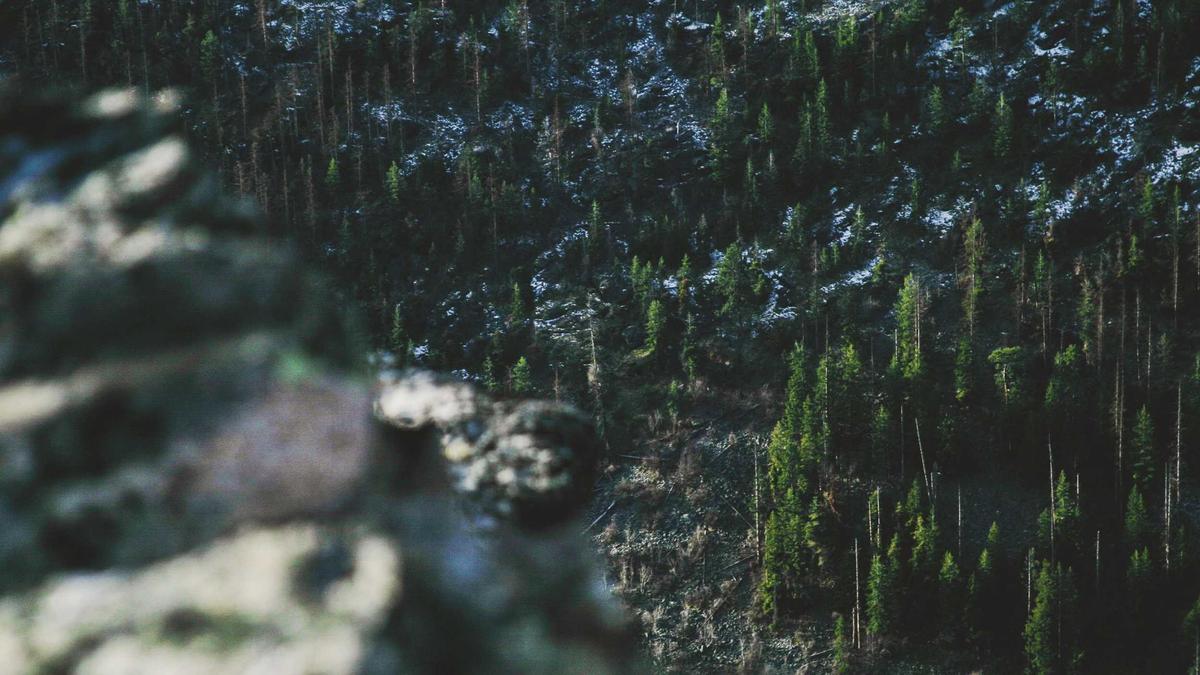 Manager conducting performance review with employee