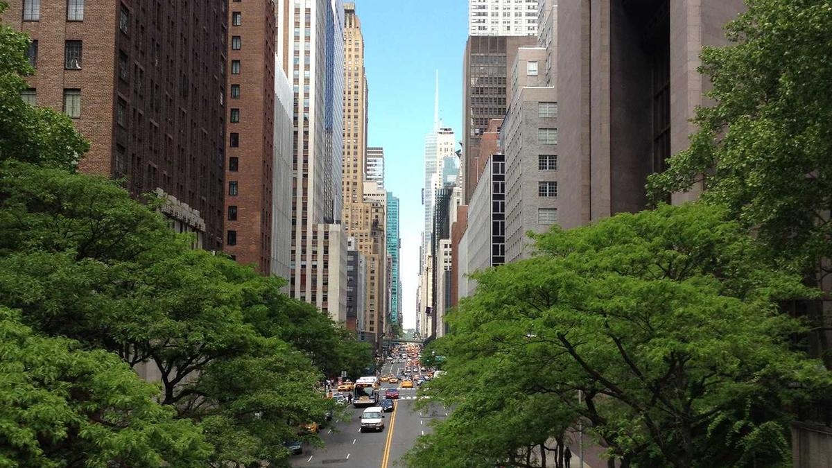 Continuous Feedback vs Annual Reviews: A Data-Driven Comparison