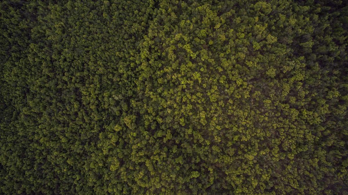 The Goal-Setting Playbook: A Recipe for Goals Employees Actually Chase