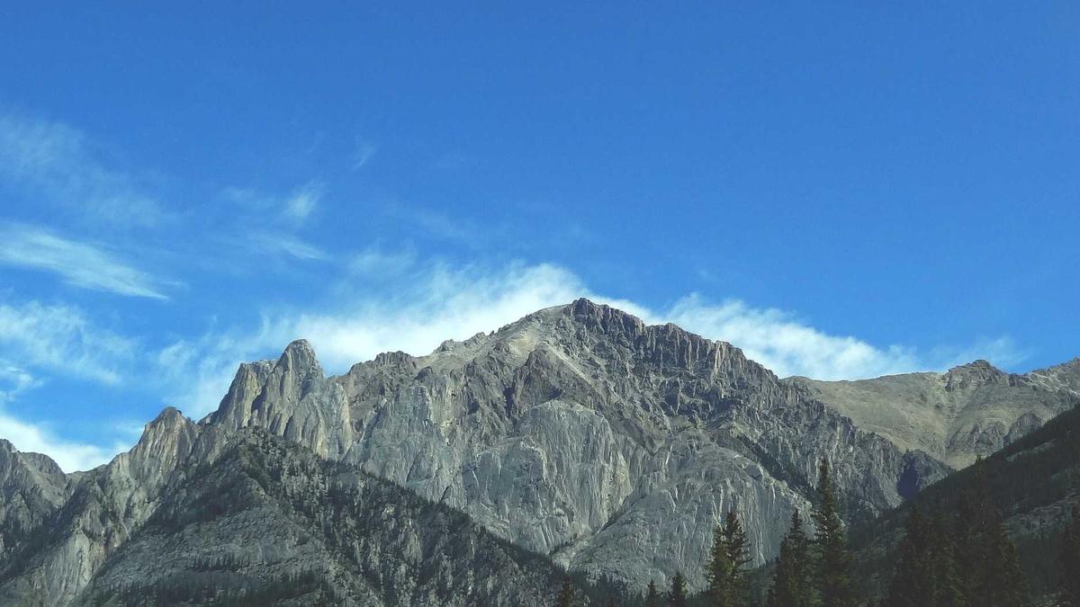 How to Find Your Hidden High Performers: The ONA Playbook for CEOs and HR Leaders