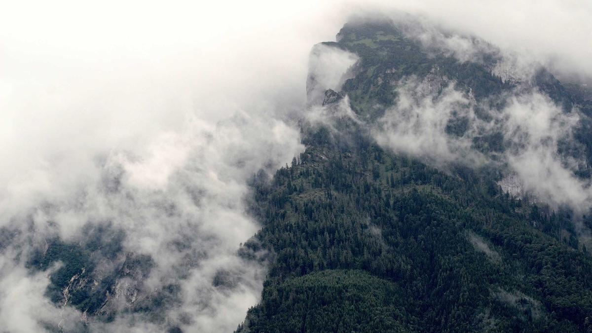 Lattice vs 15Five vs BambooHR: Complete Comparison Guide (2026)