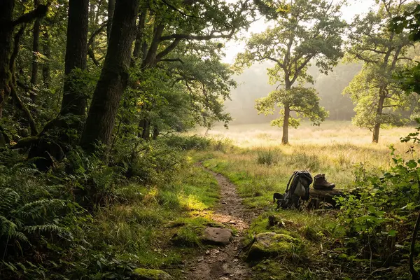 Performance Improvement Plan Guide: Complete Framework + PIP Template & Examples