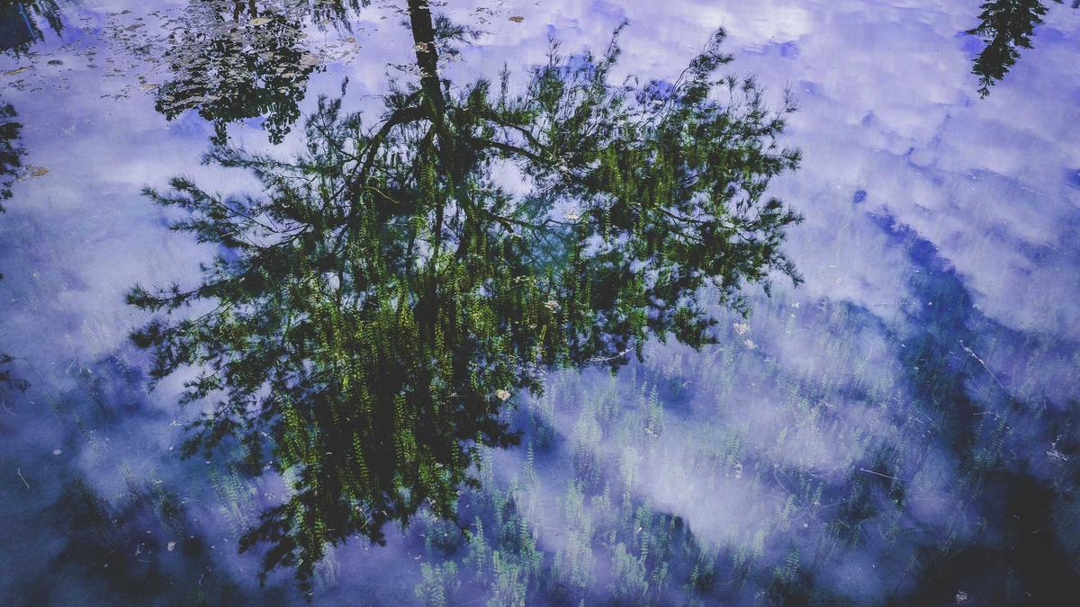 The Promotion Decision Playbook: A Recipe for Consistent, Defensible Promotion Calls